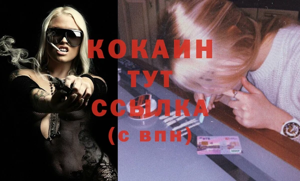 стафф Бородино