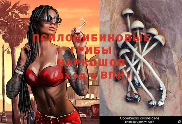 соль ск Волоколамск
